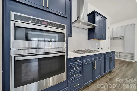 18033 Grey Mossrun Drive Charlotte NC 28278