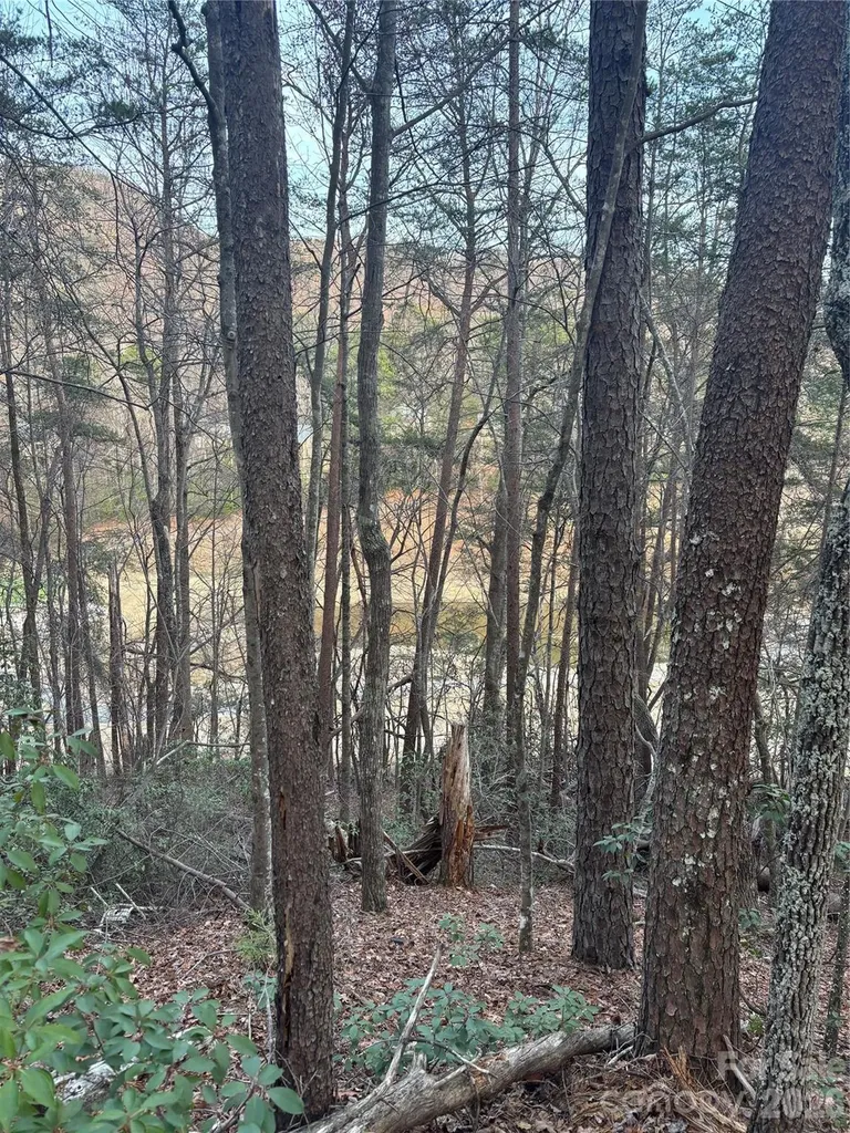 Lot 20 Nicklaus Lane Lake Lure NC 28746