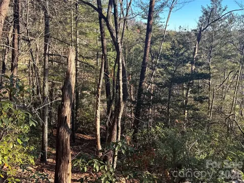 Lot 20 Nicklaus Lane Lake Lure NC 28746