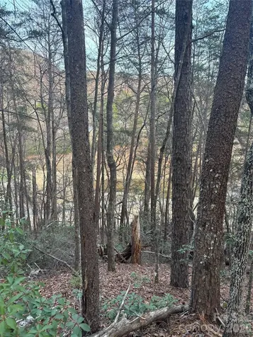 Lot 20 Nicklaus Lane Lake Lure NC 28746