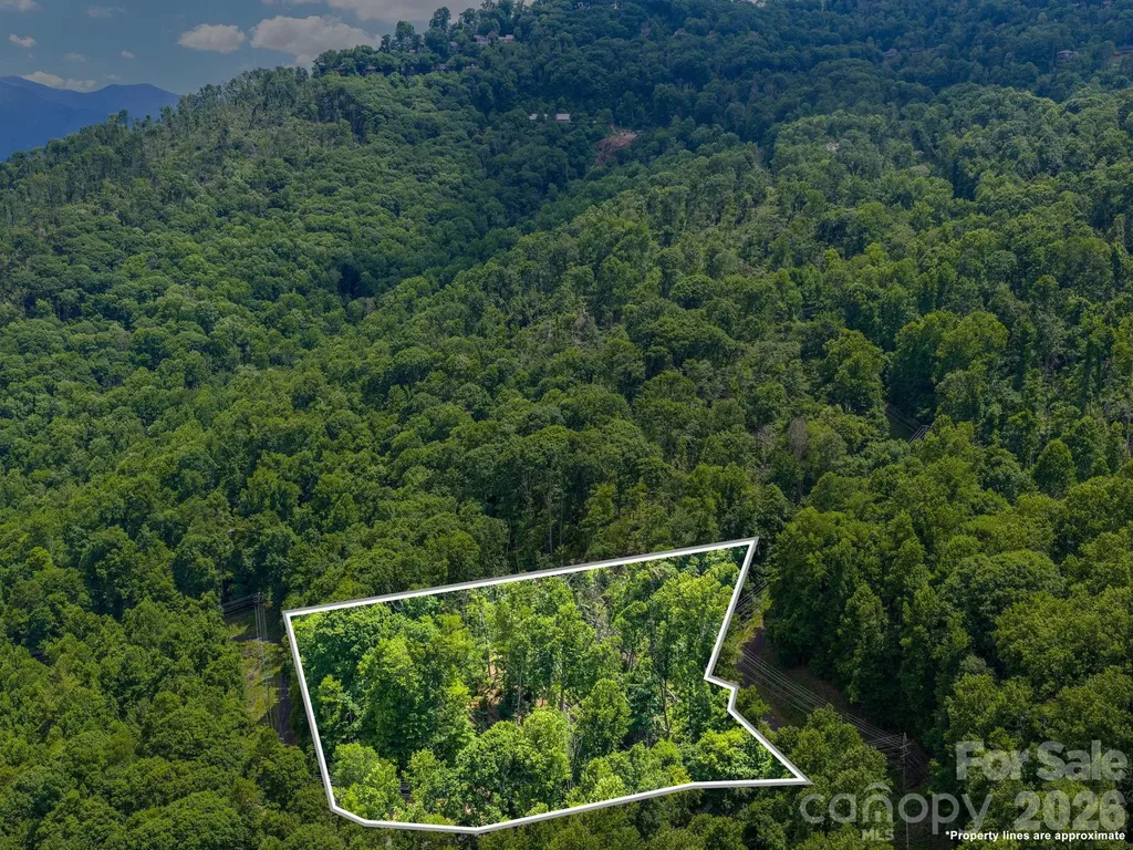 99999 Winterberry Road Burnsville NC 28714