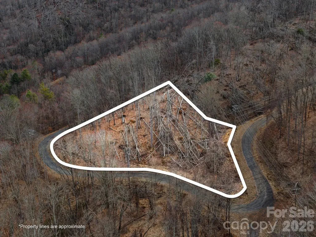 99999 Winterberry Road Burnsville NC 28714
