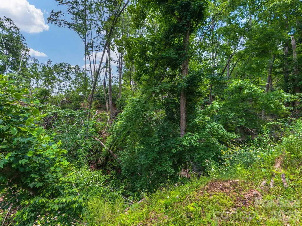99999 Winterberry Road Burnsville NC 28714