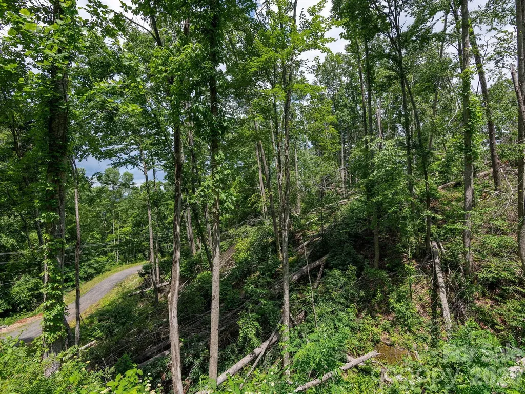 99999 Winterberry Road Burnsville NC 28714