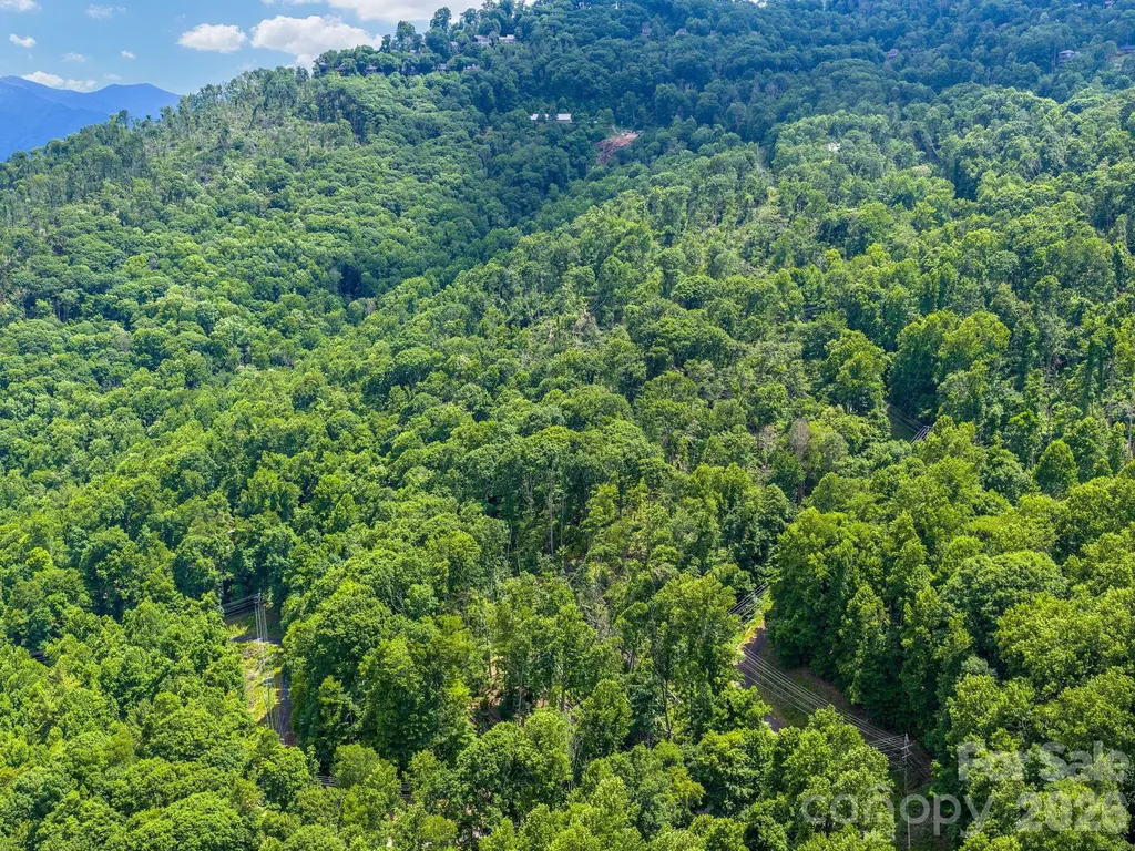 99999 Winterberry Road Burnsville NC 28714