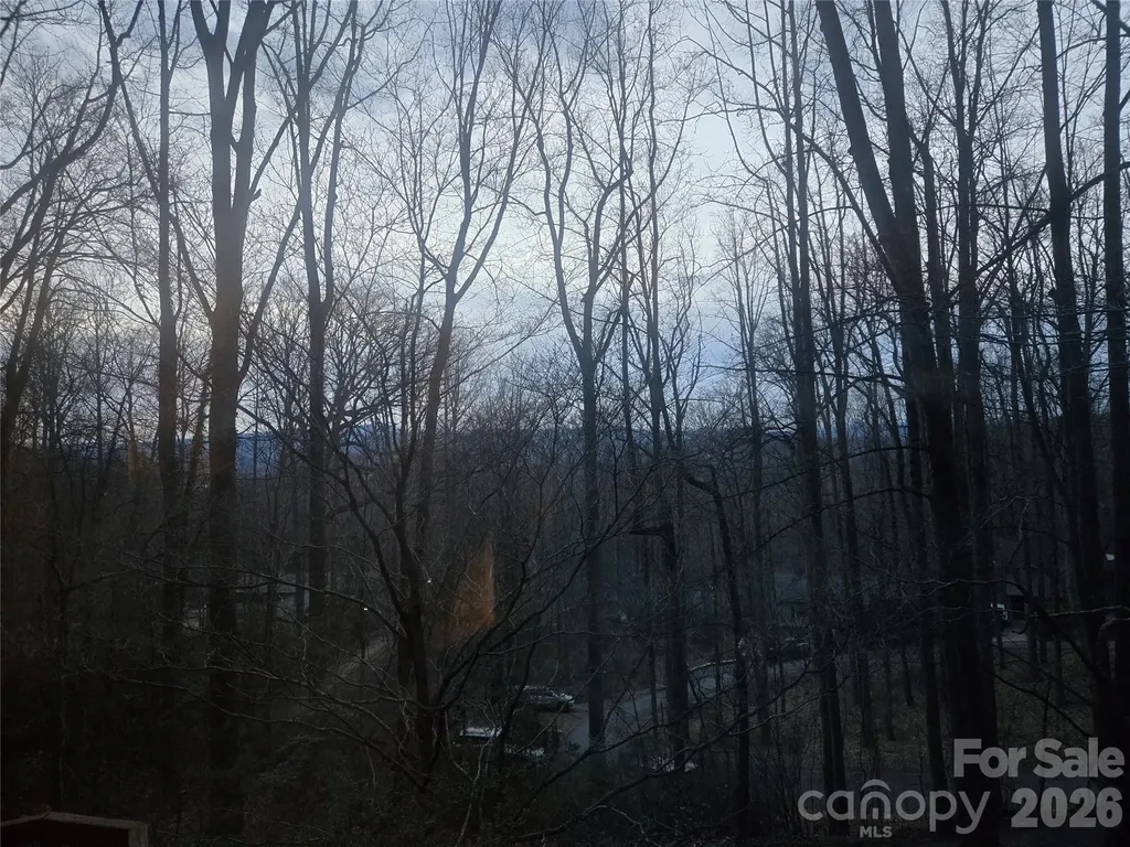 8 Shadywood Circle Asheville NC 28803