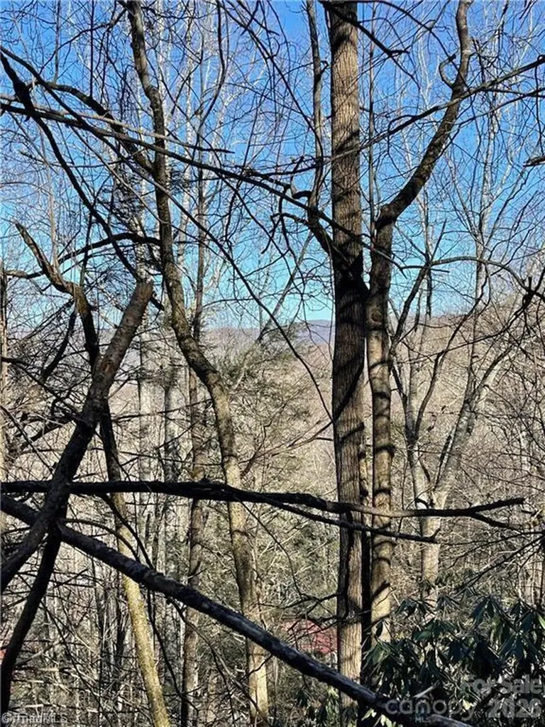 Lot E-15 Laurel Ridge Road Banner Elk NC 28604