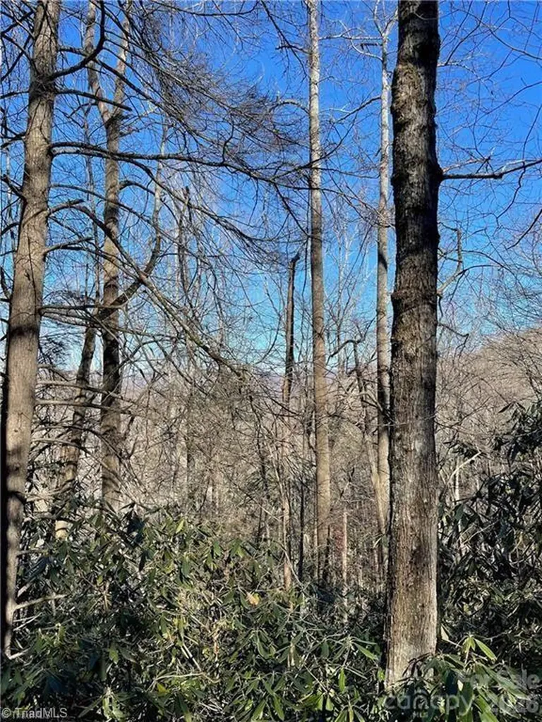 Lot E-15 Laurel Ridge Road Banner Elk NC 28604
