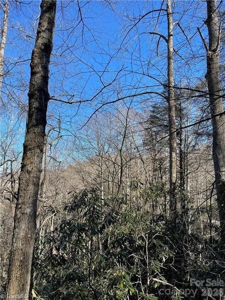 Lot E-15 Laurel Ridge Road Banner Elk NC 28604