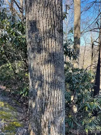 Lot E-15 Laurel Ridge Road Banner Elk NC 28604