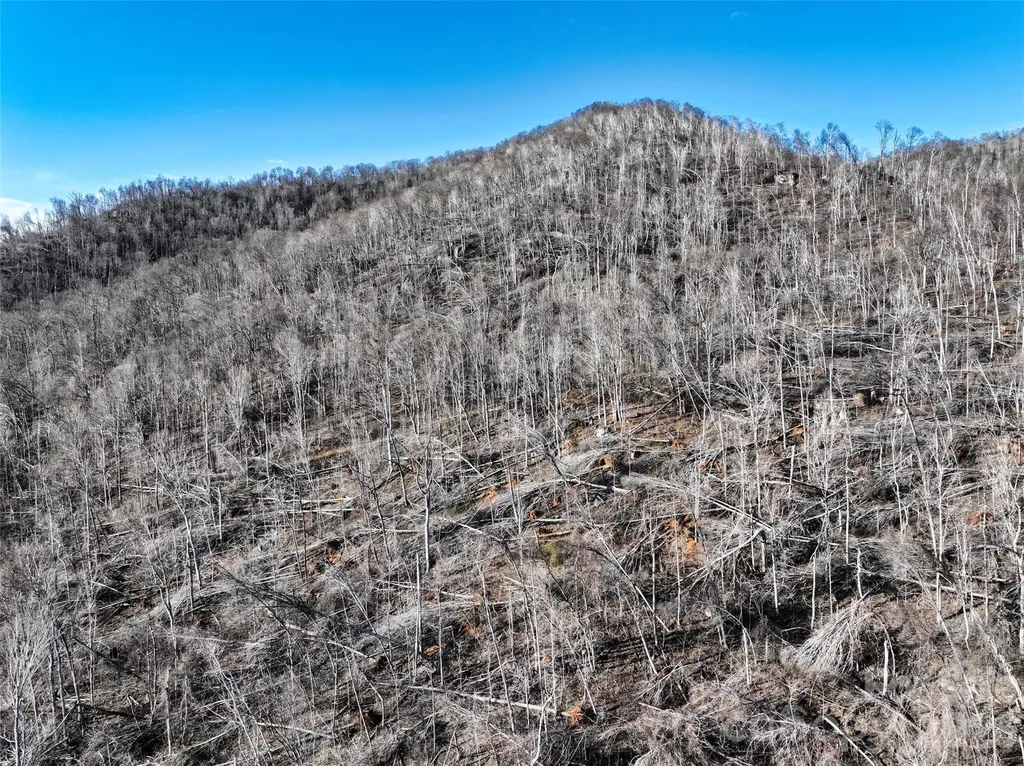 0000 Fork Mountain Road Bakersville NC 28705