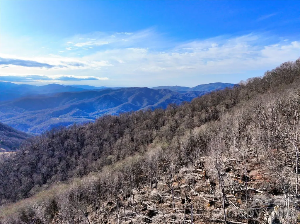 0000 Fork Mountain Road Bakersville NC 28705