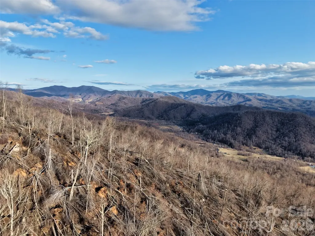 0000 Fork Mountain Road Bakersville NC 28705