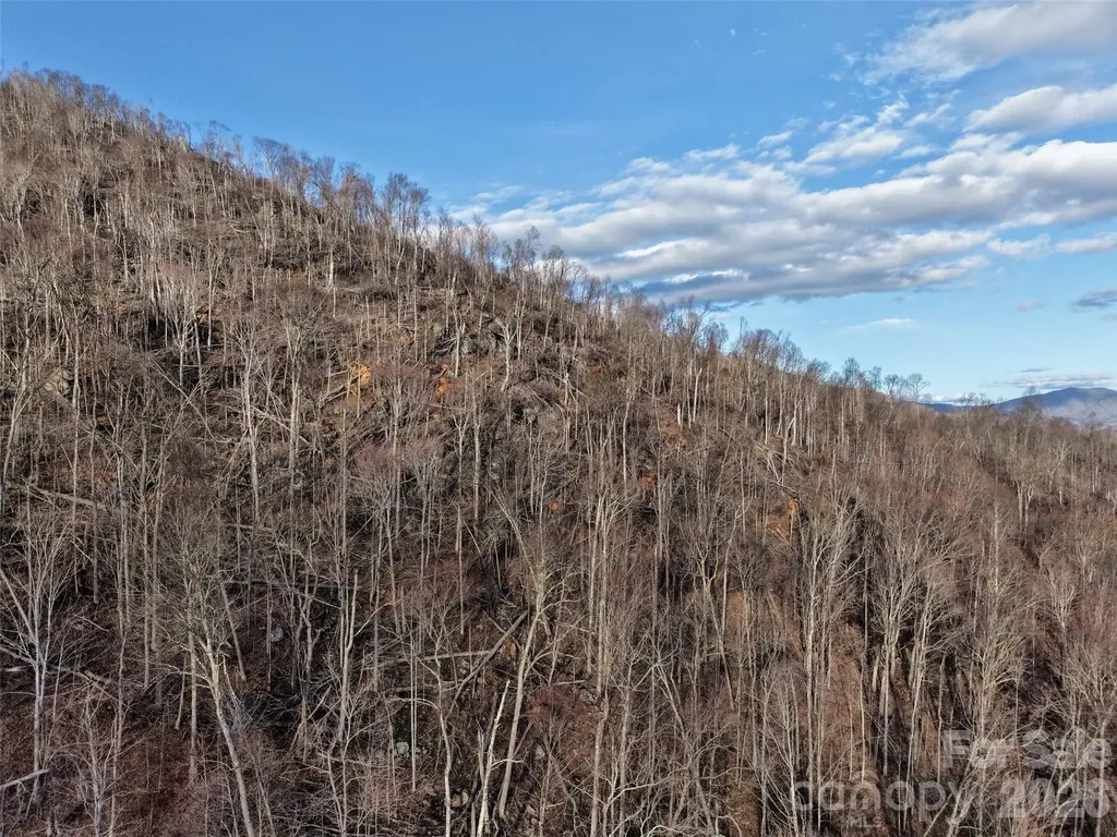 0000 Fork Mountain Road Bakersville NC 28705