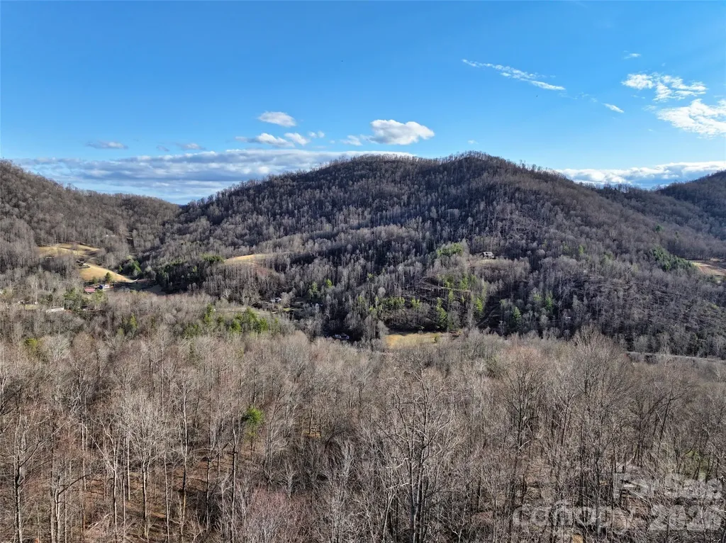 0000 Fork Mountain Road Bakersville NC 28705