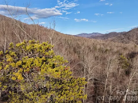 0000 Fork Mountain Road Bakersville NC 28705