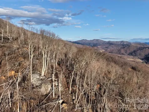 0000 Fork Mountain Road Bakersville NC 28705