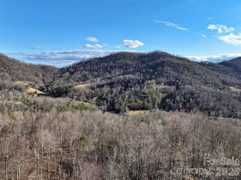 0000 Fork Mountain Road Bakersville NC 28705