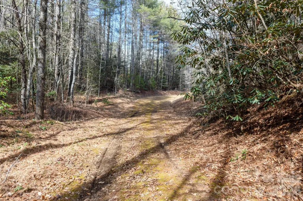 000 Narrow Gauge Drive Collettsville NC 28611
