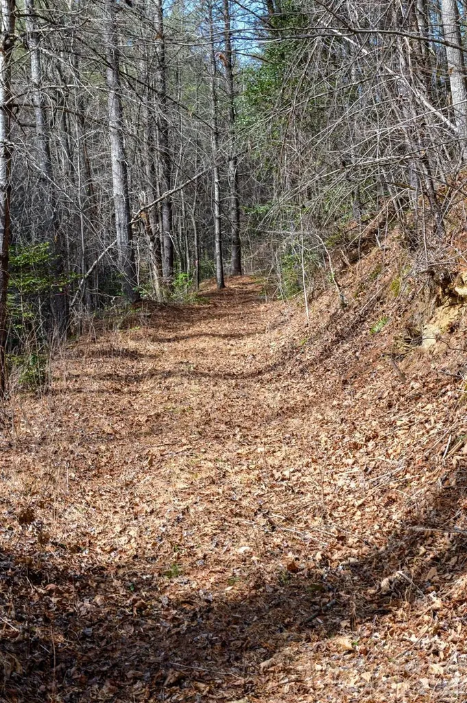 000 Narrow Gauge Drive Collettsville NC 28611