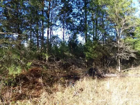 104 Ac Cedarhurst Road Chester SC 29706