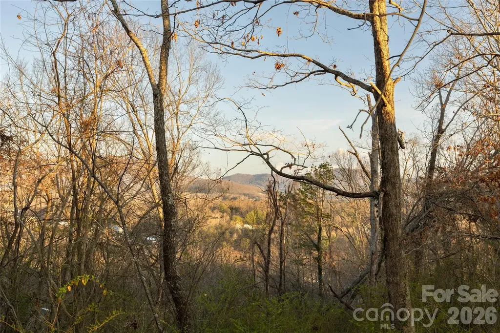 9999 Weaver Hill Road Asheville NC 28805