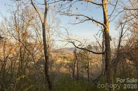 9999 Weaver Hill Road Asheville NC 28805