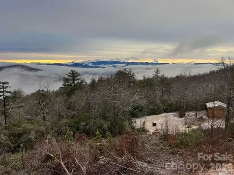 770 Dream Weaver Drive Penrose NC 28766