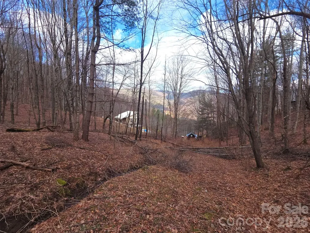 250 Rome Beauty Road Waynesville NC 28785