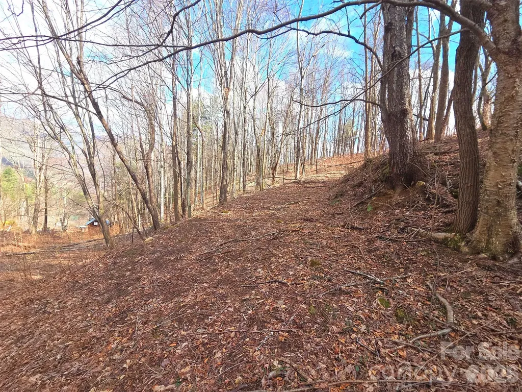 250 Rome Beauty Road Waynesville NC 28785