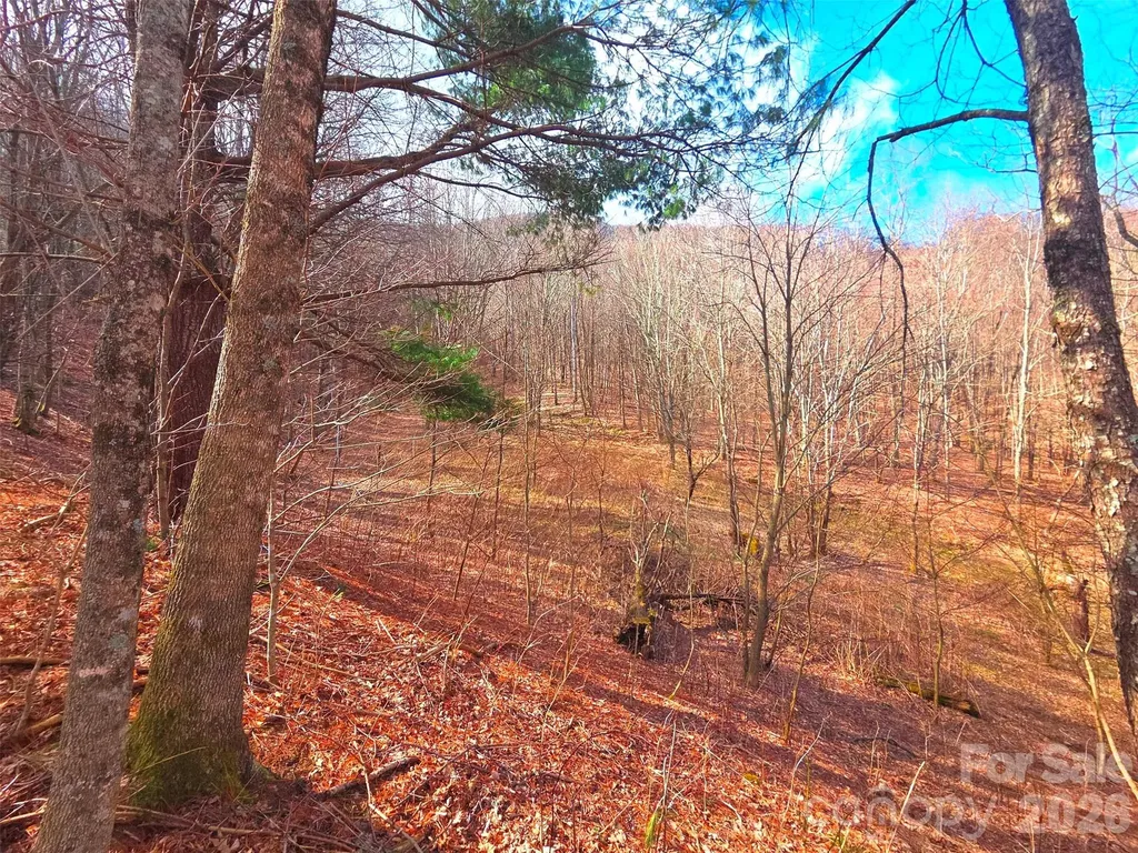 250 Rome Beauty Road Waynesville NC 28785