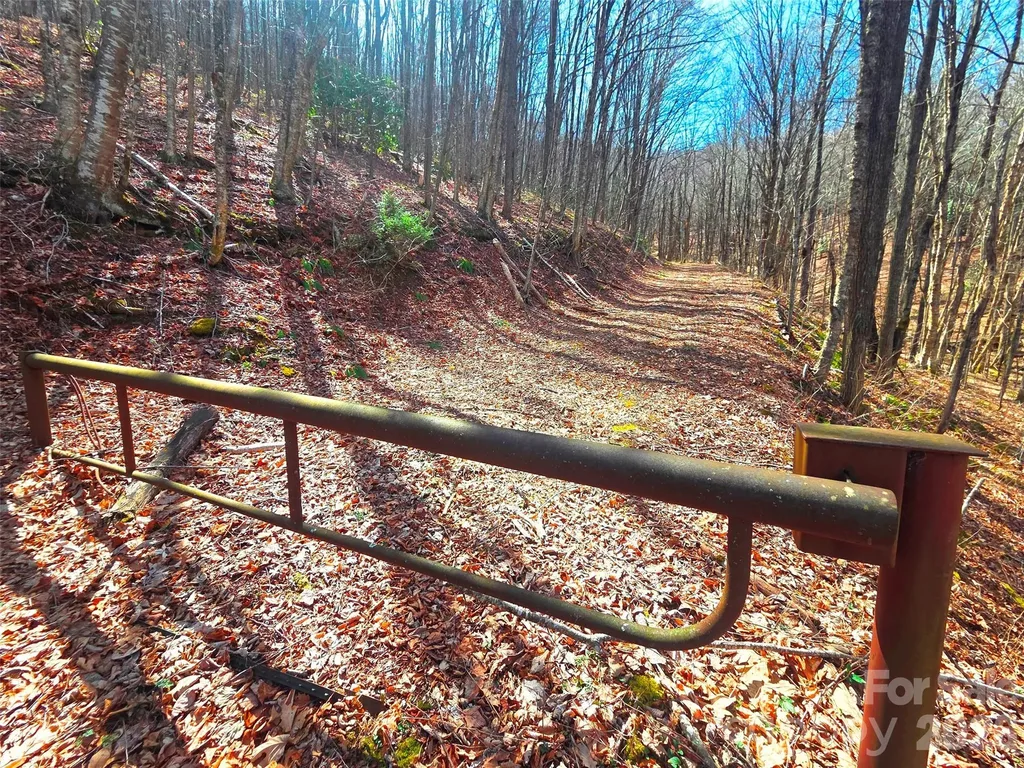 250 Rome Beauty Road Waynesville NC 28785