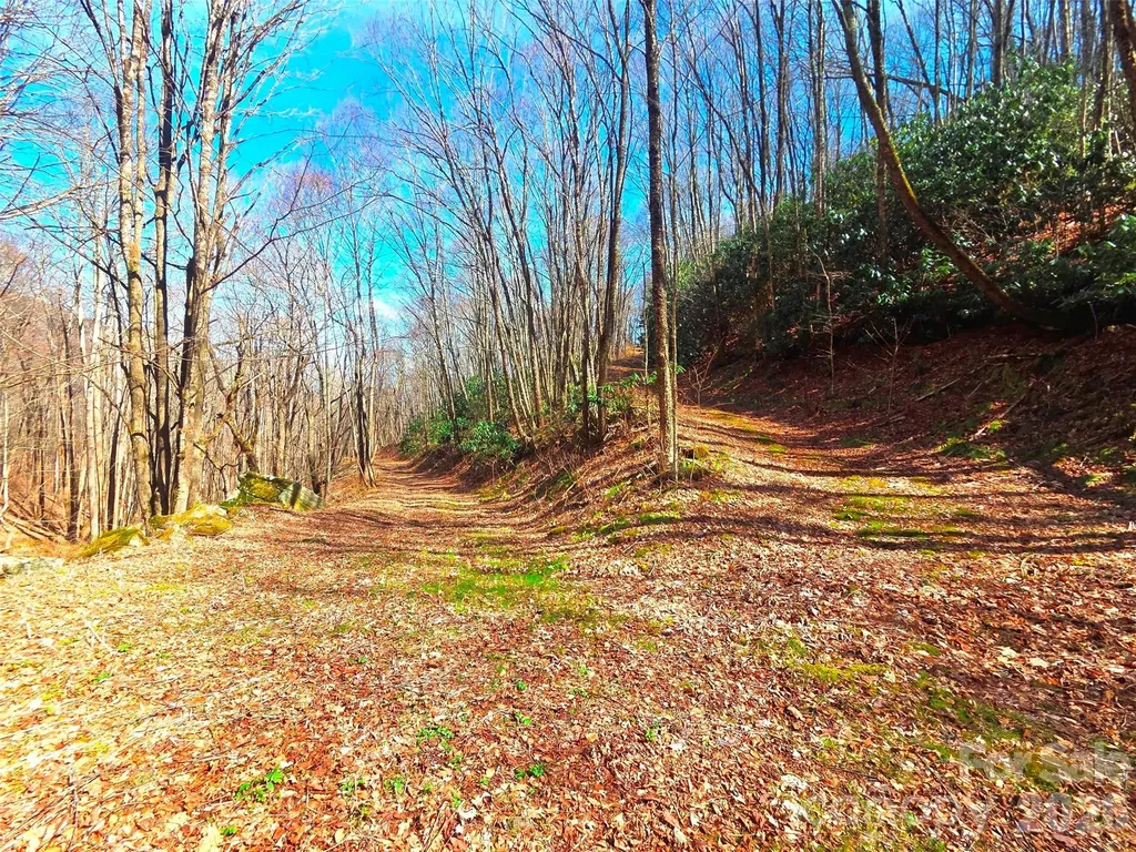 250 Rome Beauty Road Waynesville NC 28785