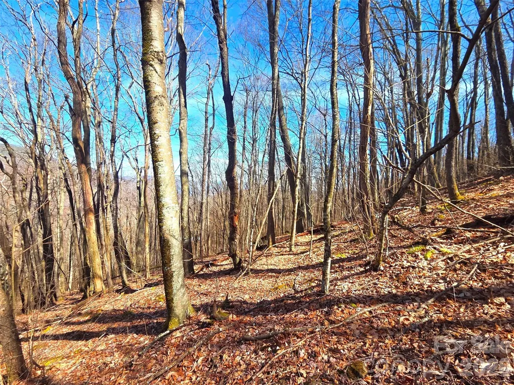 250 Rome Beauty Road Waynesville NC 28785