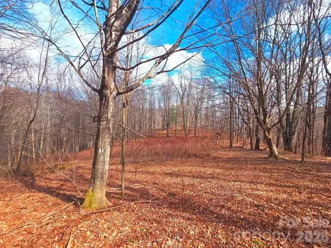 250 Rome Beauty Road Waynesville NC 28785