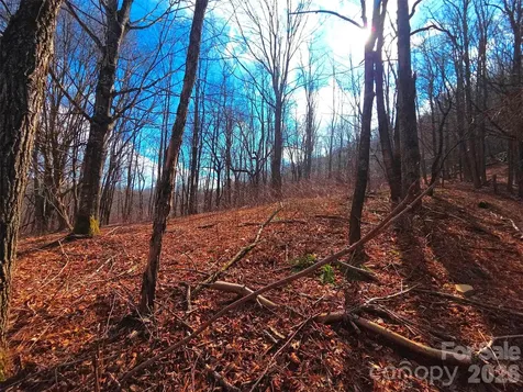 250 Rome Beauty Road Waynesville NC 28785
