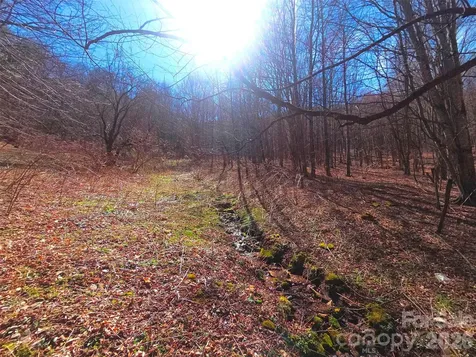 250 Rome Beauty Road Waynesville NC 28785