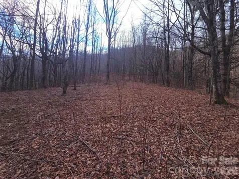250 Rome Beauty Road Waynesville NC 28785