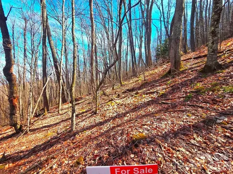250 Rome Beauty Road Waynesville NC 28785
