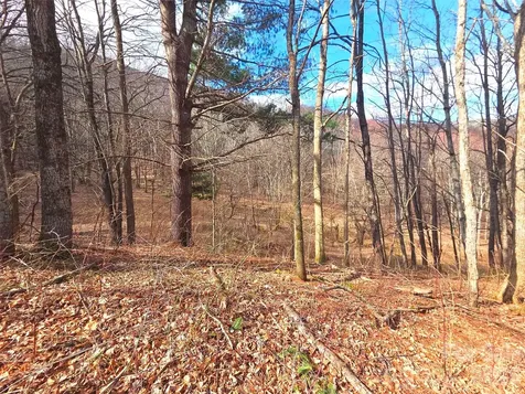 250 Rome Beauty Road Waynesville NC 28785