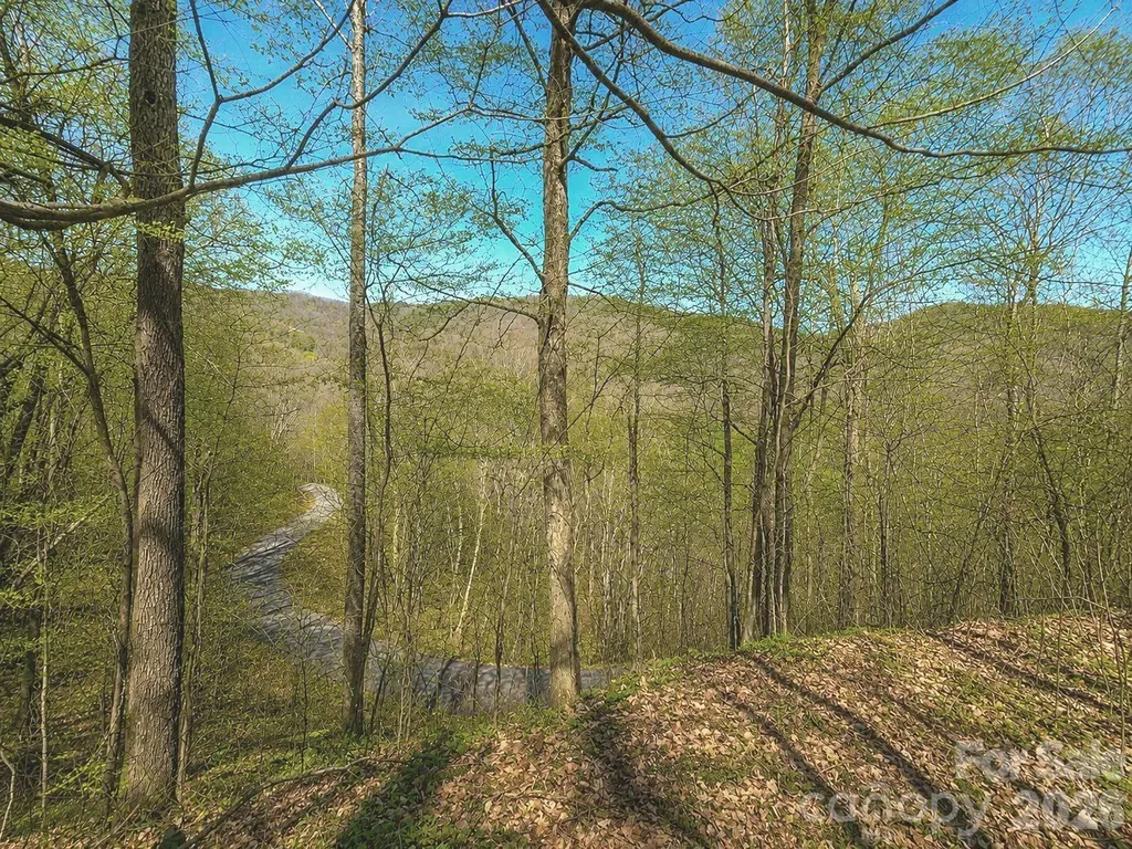 1200 Chestnut Flats Lane Waynesville NC 28786