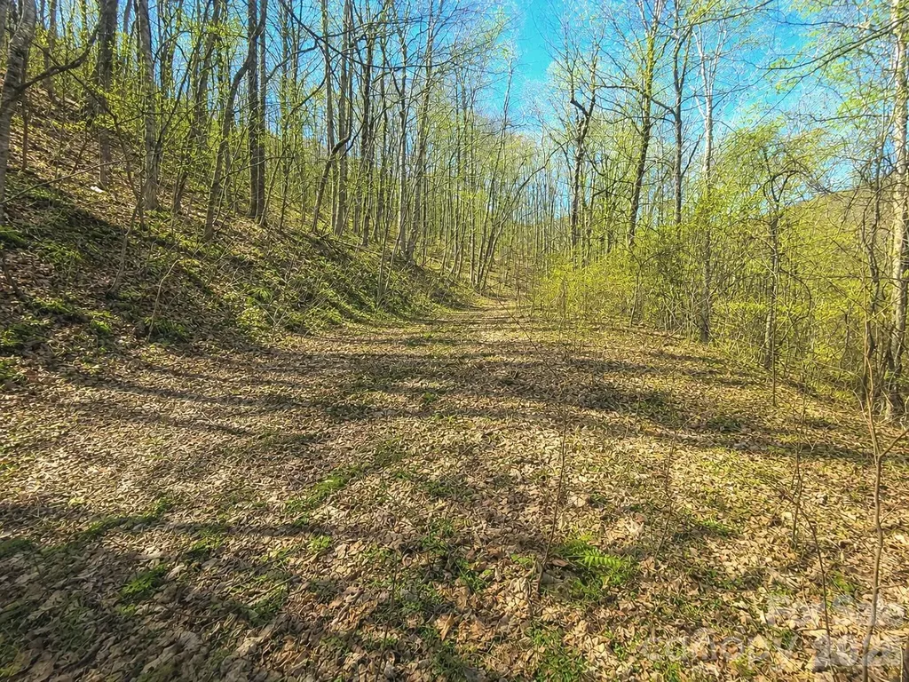 1200 Chestnut Flats Lane Waynesville NC 28786