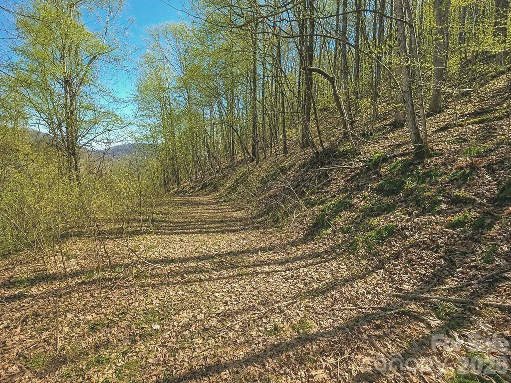 1200 Chestnut Flats Lane Waynesville NC 28786