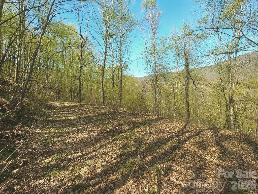 1200 Chestnut Flats Lane Waynesville NC 28786