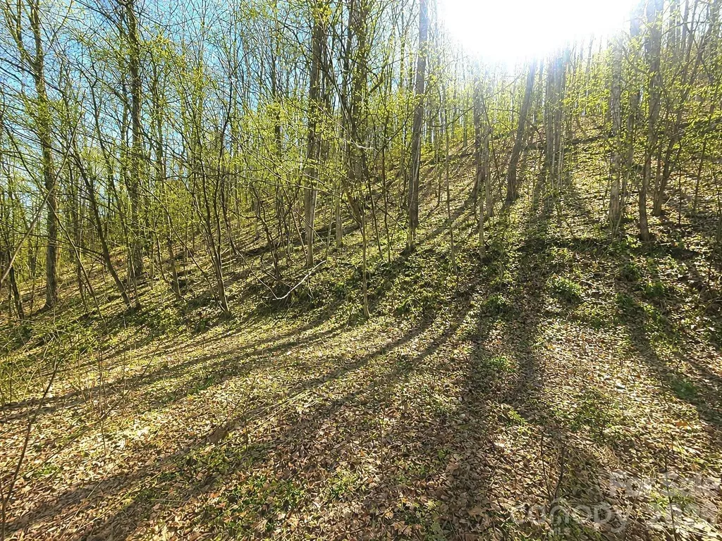 1200 Chestnut Flats Lane Waynesville NC 28786