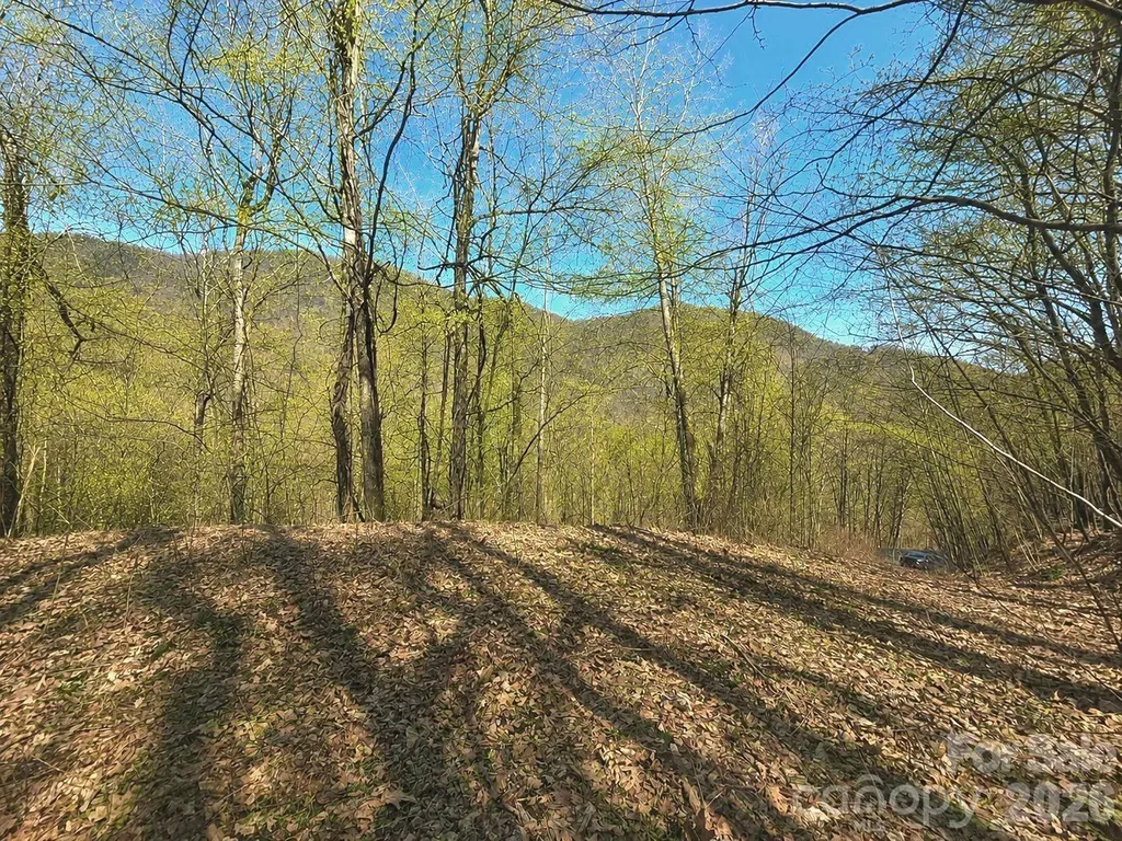 1200 Chestnut Flats Lane Waynesville NC 28786