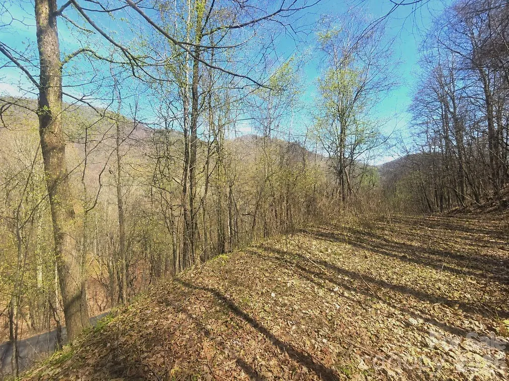 1200 Chestnut Flats Lane Waynesville NC 28786