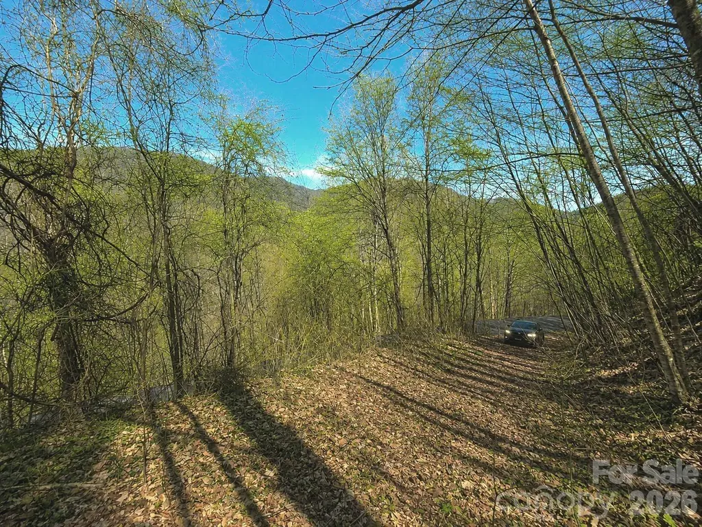1200 Chestnut Flats Lane Waynesville NC 28786