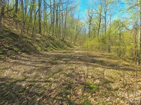 1200 Chestnut Flats Lane Waynesville NC 28786