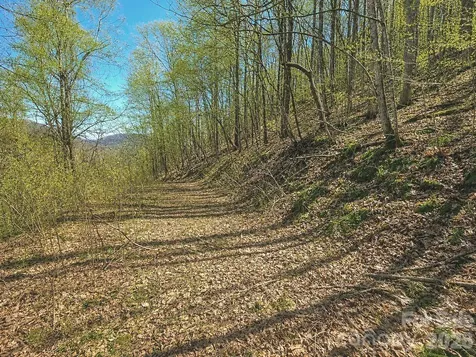 1200 Chestnut Flats Lane Waynesville NC 28786